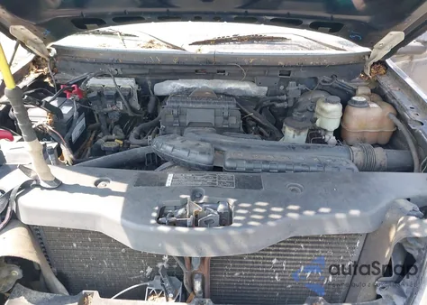 2006 Ford F-150 Lariat/Xl/Xlt z USA, uszkodzony, nr VIN 1FTPX12V66NB87667